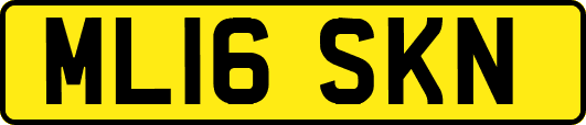 ML16SKN