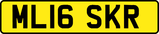 ML16SKR