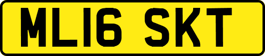 ML16SKT