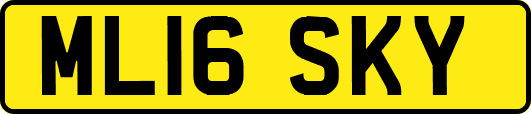 ML16SKY