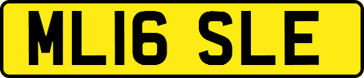 ML16SLE