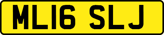 ML16SLJ