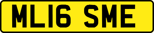 ML16SME