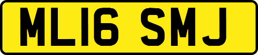 ML16SMJ