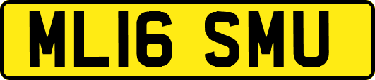 ML16SMU