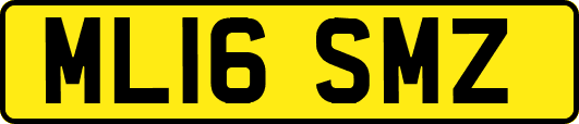 ML16SMZ