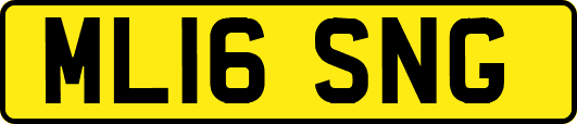 ML16SNG