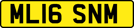 ML16SNM