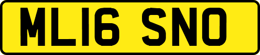ML16SNO