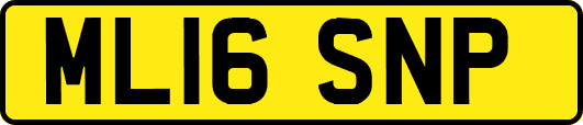 ML16SNP