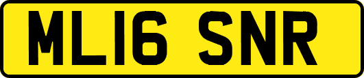 ML16SNR