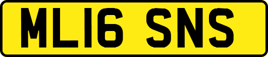 ML16SNS