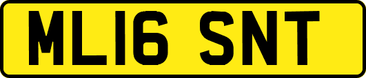 ML16SNT