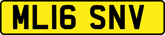 ML16SNV