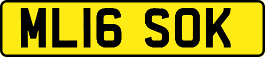 ML16SOK