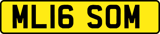 ML16SOM
