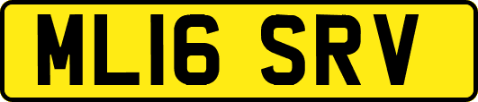ML16SRV