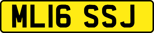 ML16SSJ