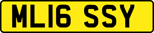 ML16SSY