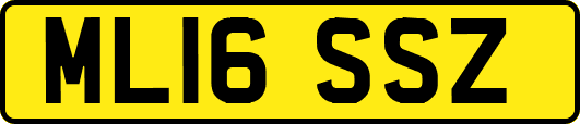 ML16SSZ