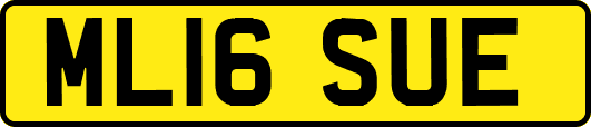 ML16SUE
