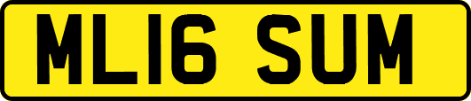 ML16SUM
