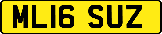 ML16SUZ