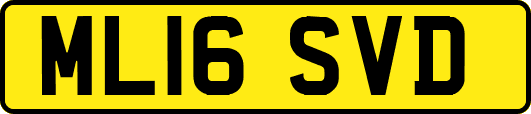 ML16SVD