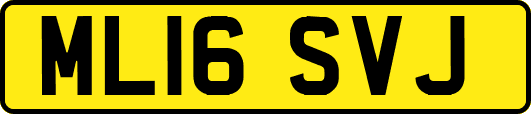ML16SVJ