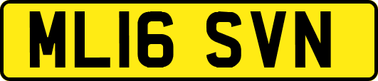 ML16SVN