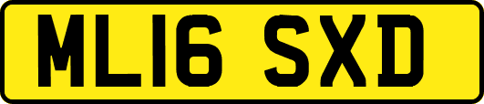 ML16SXD