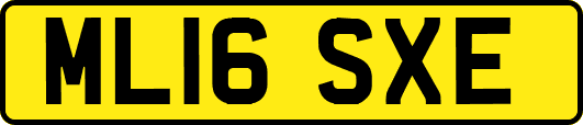 ML16SXE