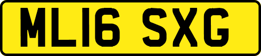 ML16SXG