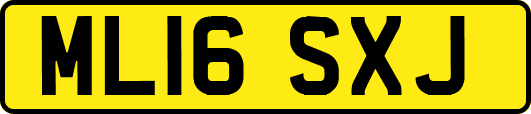 ML16SXJ