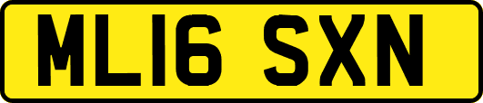 ML16SXN