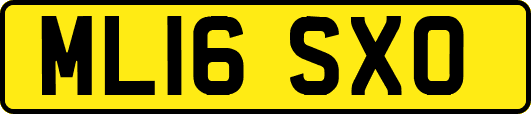 ML16SXO