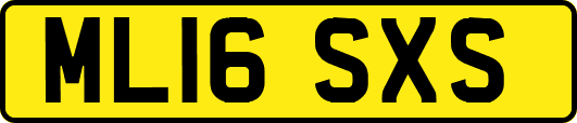 ML16SXS