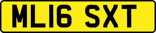ML16SXT