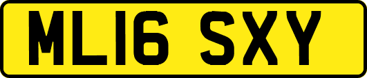 ML16SXY