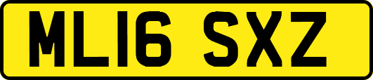 ML16SXZ