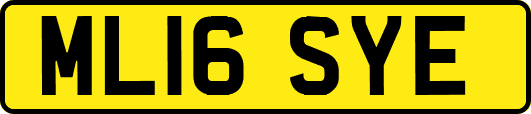 ML16SYE