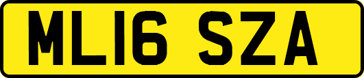 ML16SZA