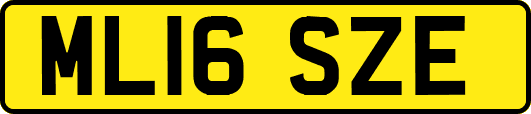 ML16SZE