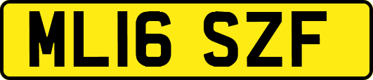 ML16SZF