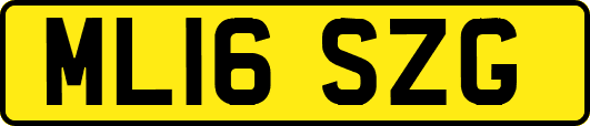 ML16SZG
