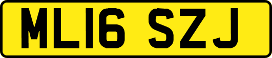 ML16SZJ