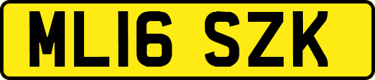 ML16SZK