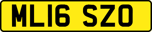 ML16SZO