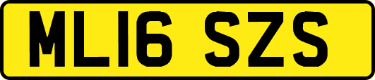ML16SZS