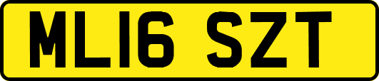 ML16SZT